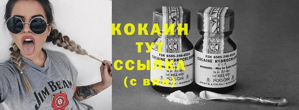 шишки Аркадак