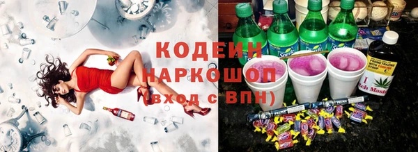 хмурый Алексин
