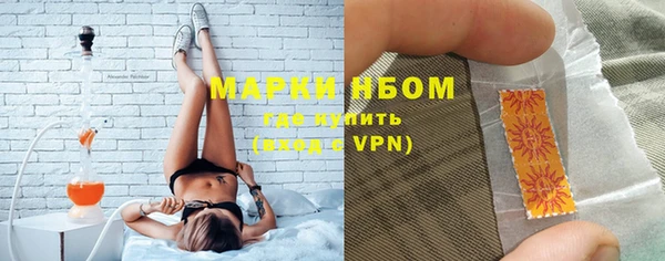 хмурый Алексин