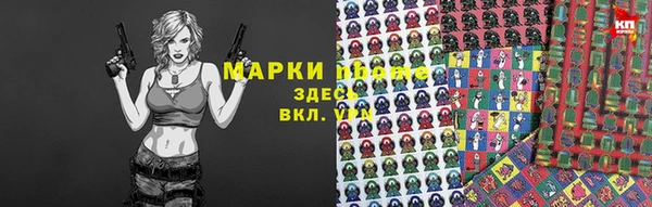 хмурый Алексин