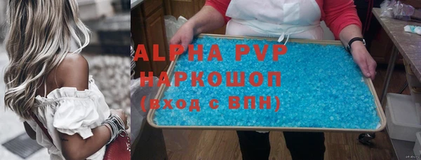 хмурый Алексин